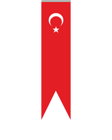 75x300 Kırlangıç Türk Bayrak -KT04