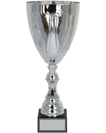 Gümüş Kaplamalı Voleybol Kupası - MK 26