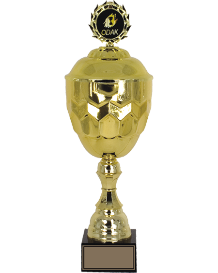 Altın Kaplama Özel Kupa - MK 35